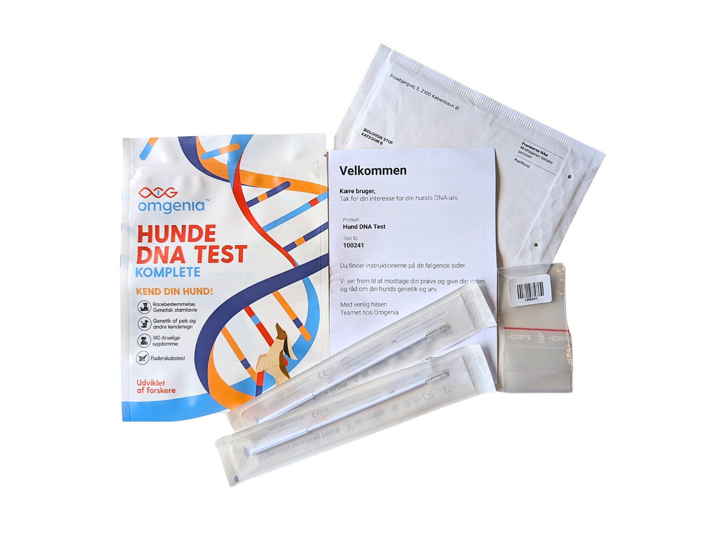 Hund DNA-test